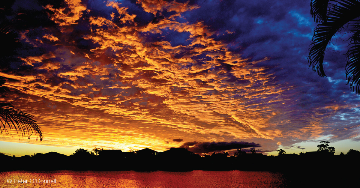 Purple, orange and yellow textured cloud in a layer in the sky is reflected in the waters beneath, with palm fronds in the foreground at either side of the photo.