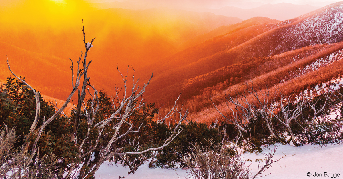 Bright orange and yellow fog from the sunset sky lies in a layer over the hills, with green and dead trees emerging from the snow.