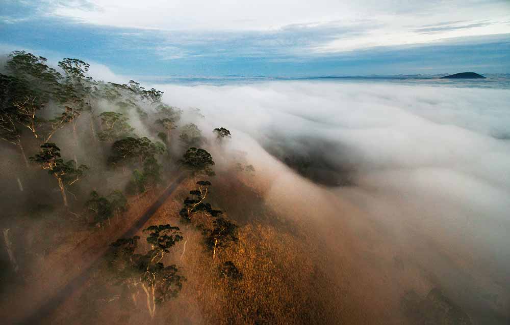Fog blankets Mt Buninyong, Victoria, 21 January 2016—Andrew Thomas Photographer