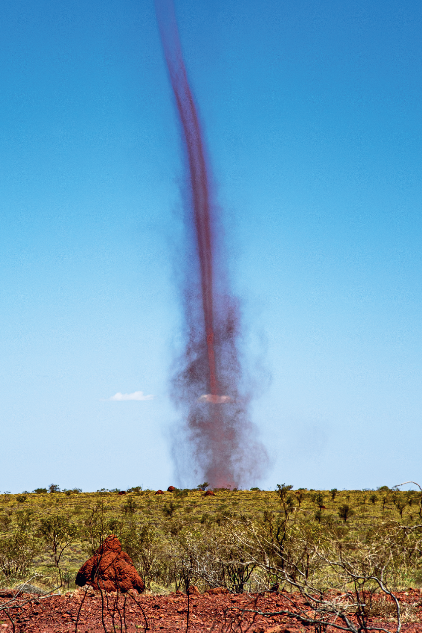 Column of red dust spinning in blue sky above red landscape with low green vegetation.