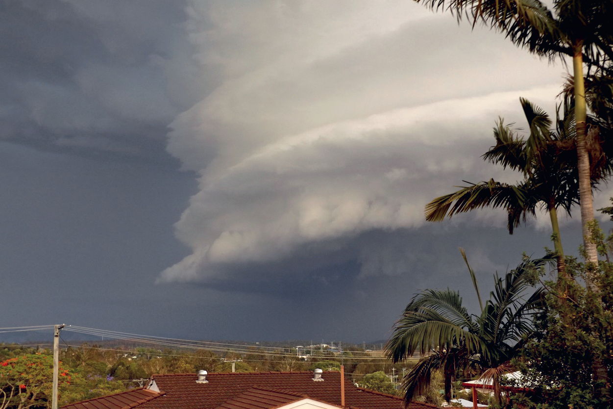 Large layered thunderstorm cloud in grey skies above rooftops and palm trees.