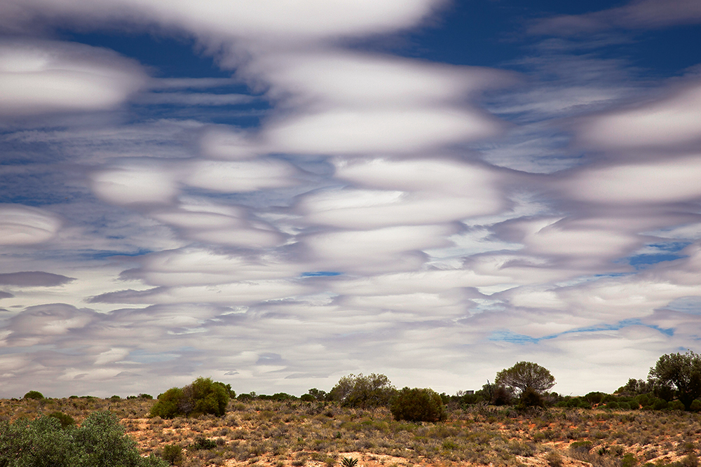 Blue sky full of blobby lenticular clouds over a desert landscape with low bushes and clumps of grass.
