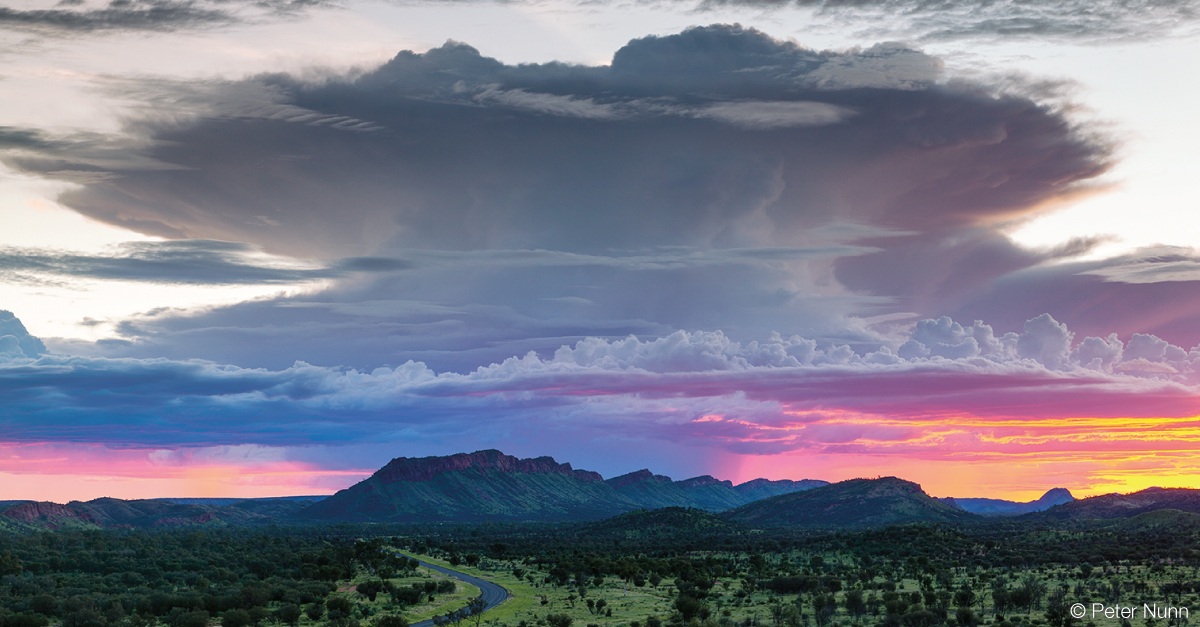 Large anvil-shaped grey cloud in a sky with pink and yellow colours, above a jagged range with green land and sparse trees in the foreground. 