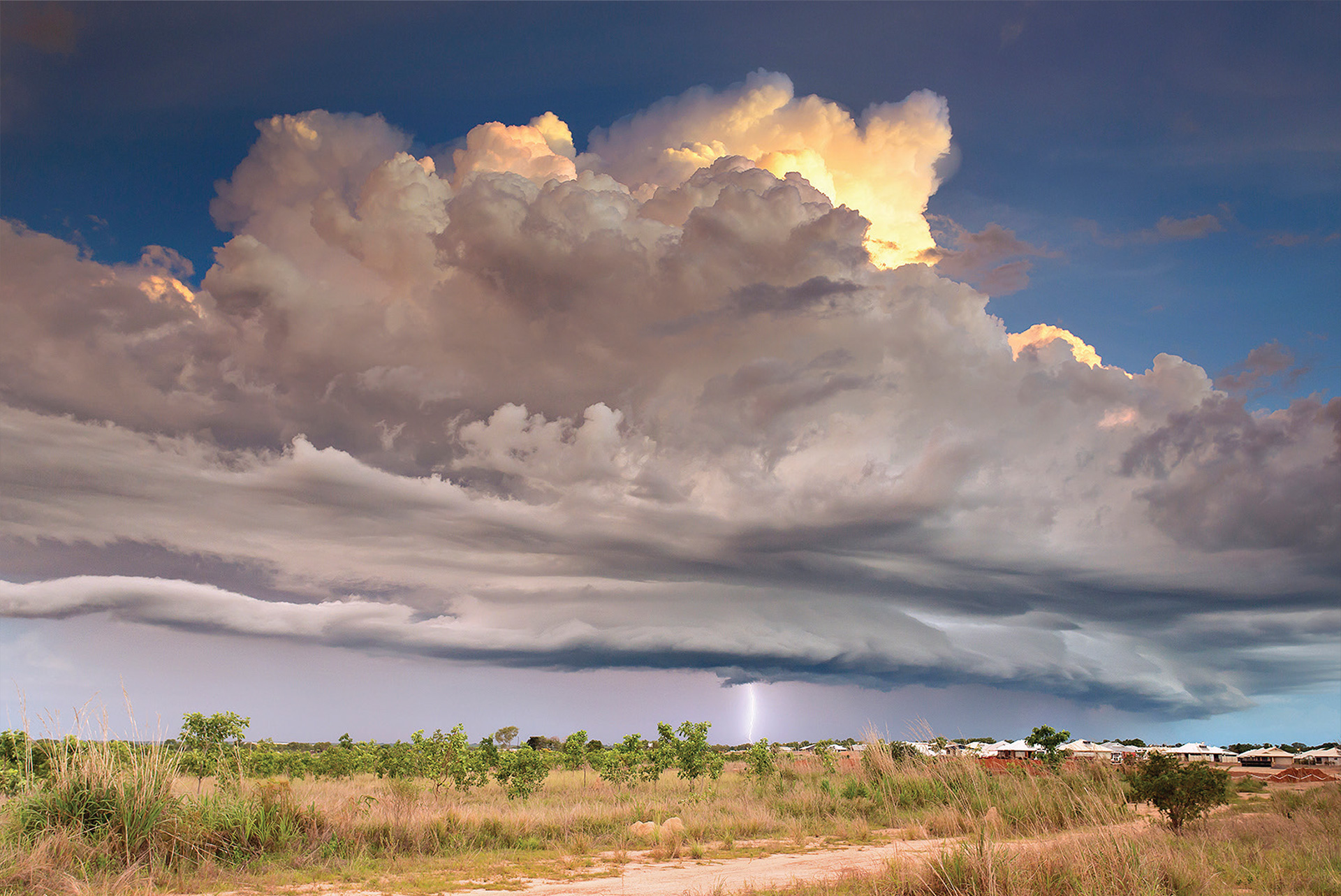 Large storm clouds in sky over grassy foreground, a lightning bolt coming from the cloud to the ground