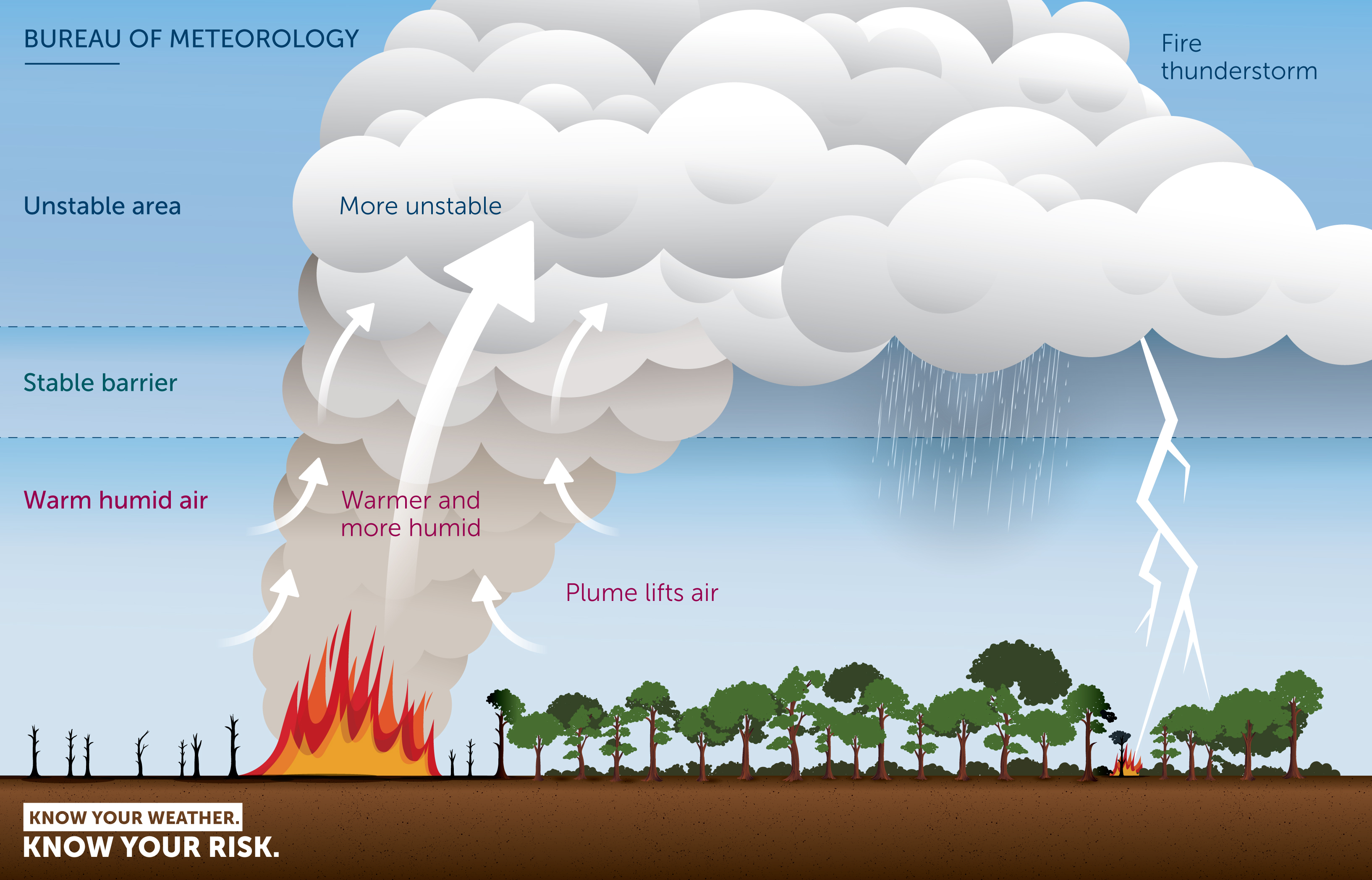 Pyrocumulus cloud: How fires can create their own weather systems - ABC News