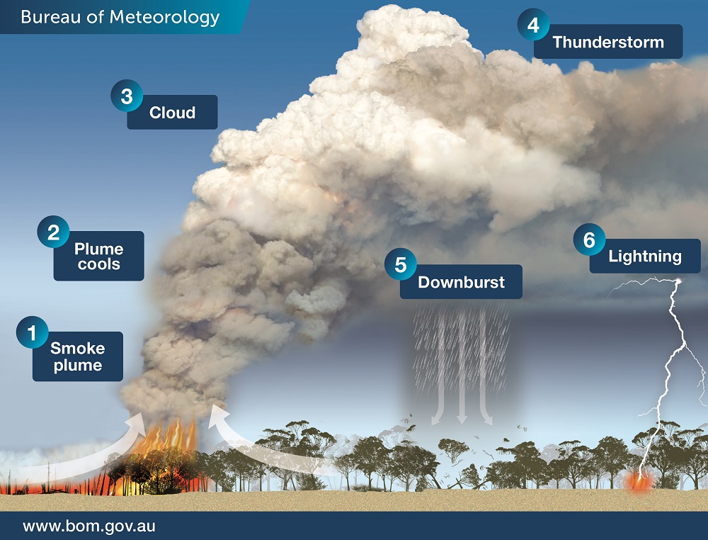 Fire whirls and pyrocumulus clouds: How fire creates its own weather