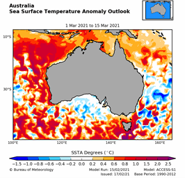 Map of Australia showing forecast temperature of surrounding oceans for 1 to 15 March. Waters around WA's coast are red, yellow and orange, indicating 0.2 °C to 1.5 °C above average.