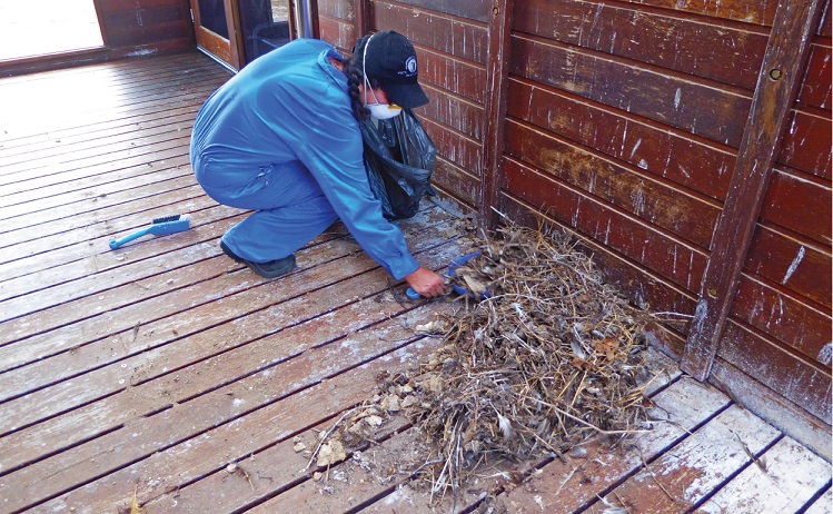 Cleaning seabird guano at Willis Island weather monitoring station