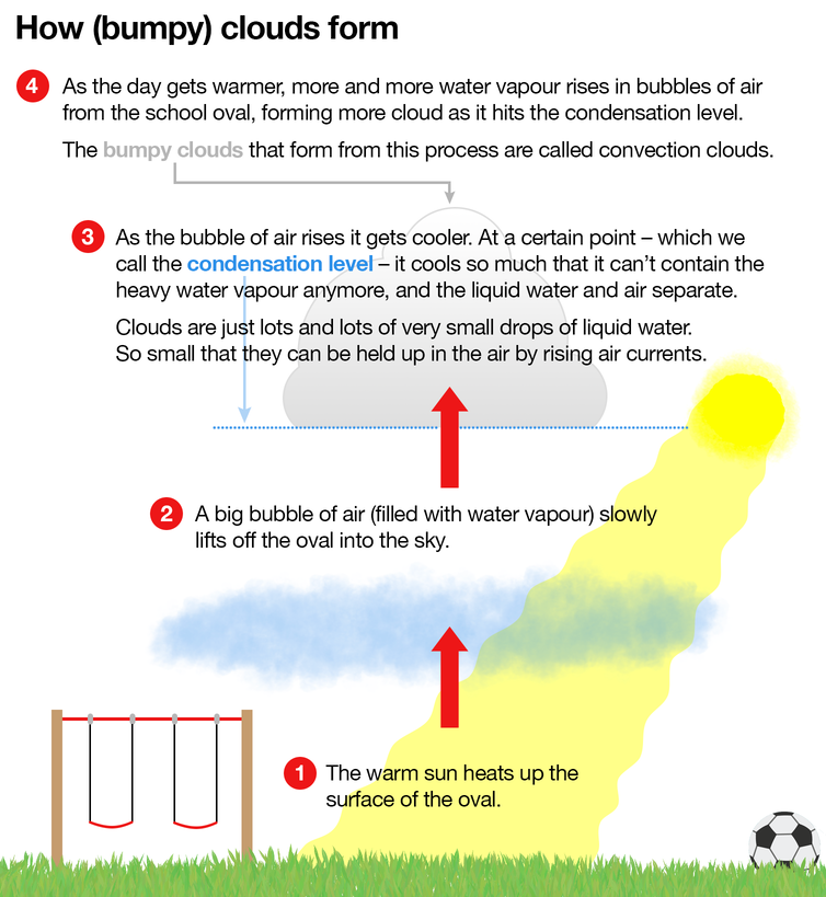 Diagram showing how bumpy clouds form over and oval. 1. Warm sun heats up oval surface. 2. Big bubble of air filled with water vapour slowly lifts off oval into sky. 3. As bubble of air rises it cools. At the condensation level it cools so much that it can't contain the heavy water vapour anymore and the liquid water and air separate. Clouds are just lots and lots of very small drops of liquid water, so small they can be held up in the air by rising air currents. 4. As the day gets warmer, more and more water vapour rises in bubbles of air from the oval, forming more cloud as it hits the condensation level. The bumpy clouds that form from this process are called convection clouds.