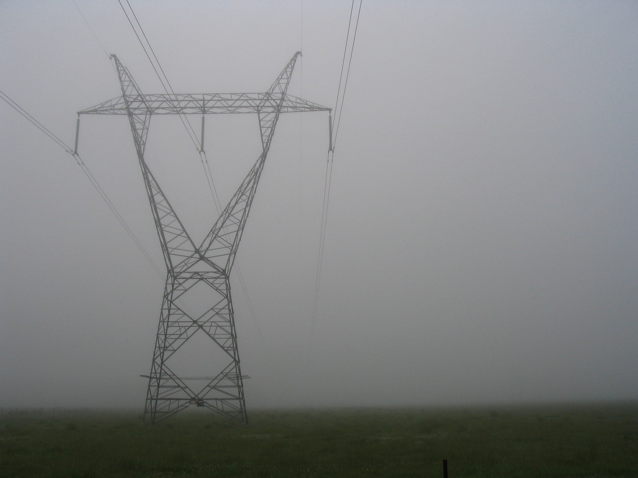 Power pylon in the fog, in a grassy paddock