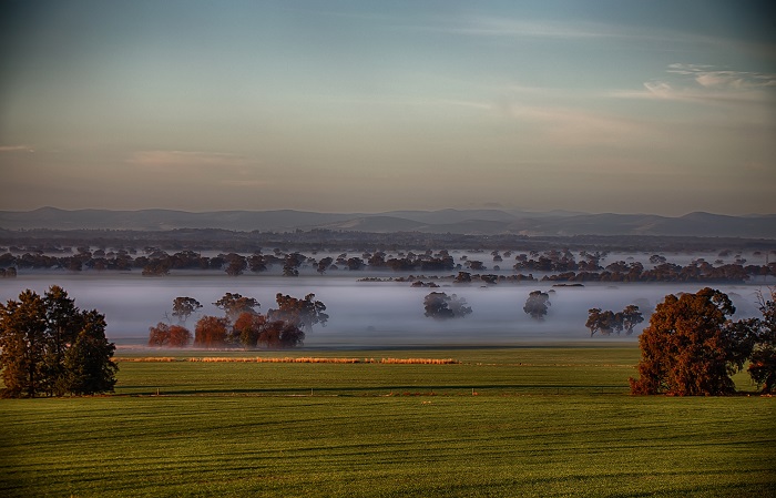 Image of fog in paddocks, Dookie, Victoria by Rensmart Photography