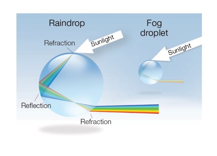 Diagram showing the process of light refracting and reflecting to create rainbows and fogbows. The fogbow has smaller droplets and looks white, as described in text.