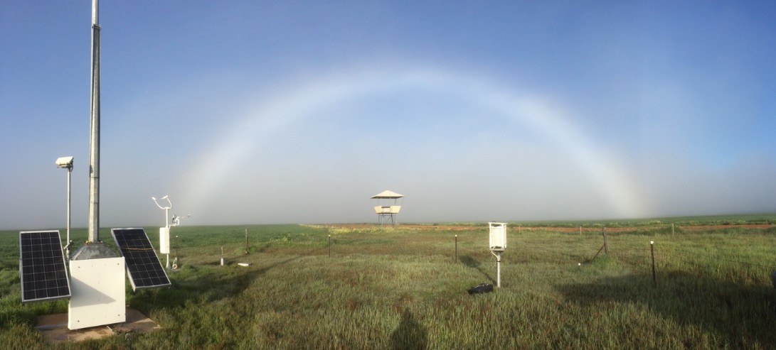 Fogbow at Cunderdin airstrip, Western Australia on 24 August 2018