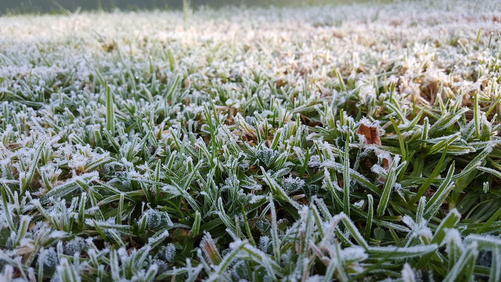 Image: Frost on the grass in Macleod, Victoria, June 2017