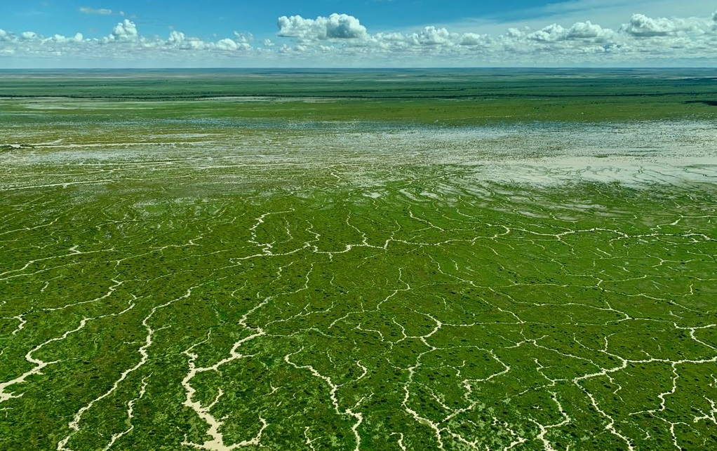 Aerial image of vivid green ground riven with channels of brown water under a blue sky.