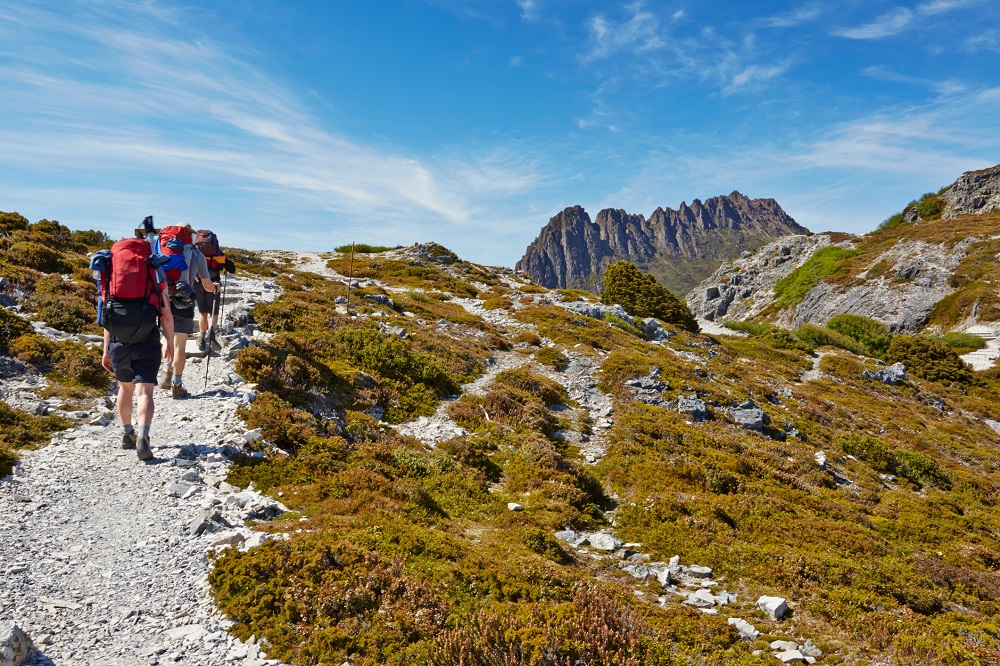 Bushwalkers on a track across an open hillside with low, green vegetation, heading towards a razorback mountain.