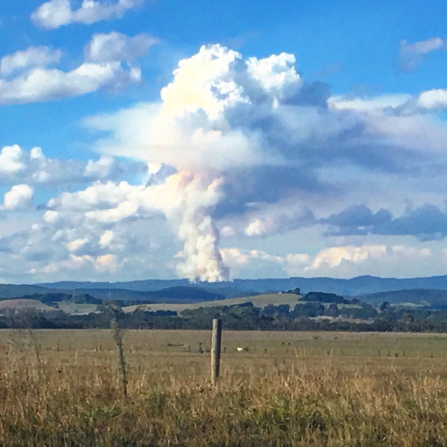 Image: Pyrocumulus cloud over Pakenham, Victoria, 22 March 2016 by Tadd Alexander