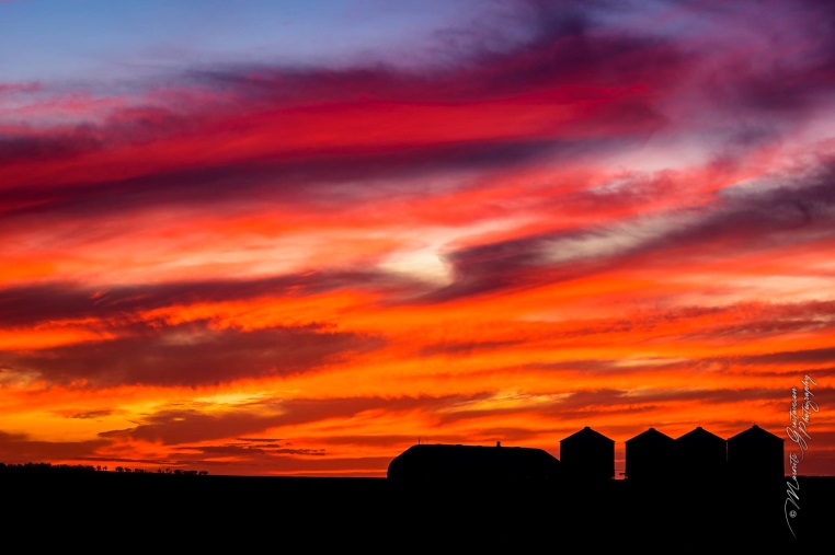 Image: 'Red sky at night' sunset near Jondaryan, southeast Queensland. Credit: Maurits Gustavsson Photography