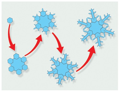 The development of a snowflake