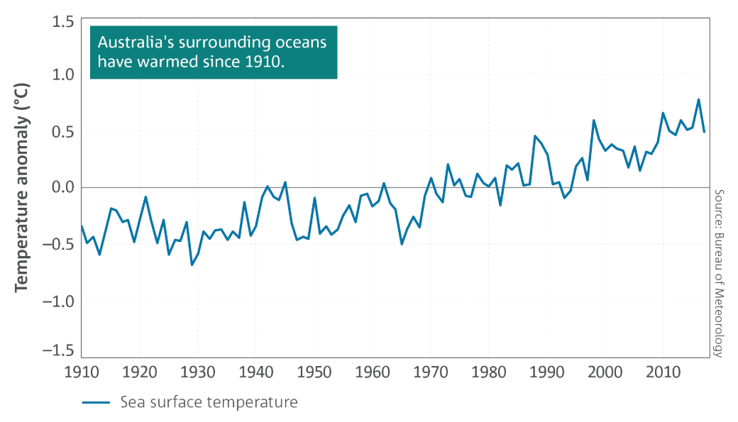 Graph showing sea surface temperature rising since 1910.