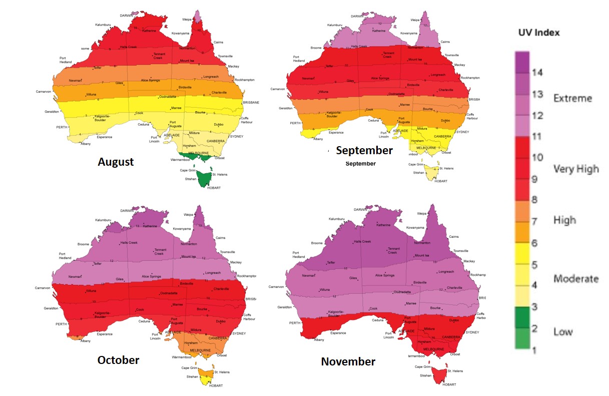 UV Index: exposure, protection and consequences