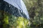 Right as rain: How to interpret the daily rainfall forecast