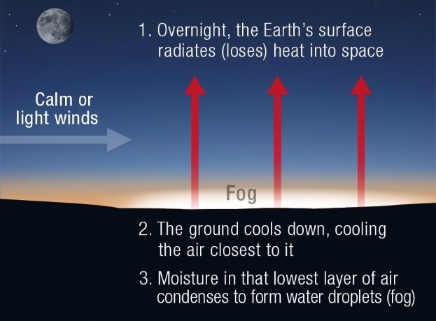 Fog Vs Mist  What s The Difference    Techiescientist - 21